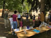 Img 4528